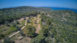 Αγροτεμάχια 9.273 τ.μ. προς πώληση, Λάκκες Κρανιδίου-thumb-7