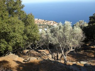 Φάρμα / ράντσο 12 τ.μ. για πώληση, Ν. Σάμου, Ικαρία-thumb-2