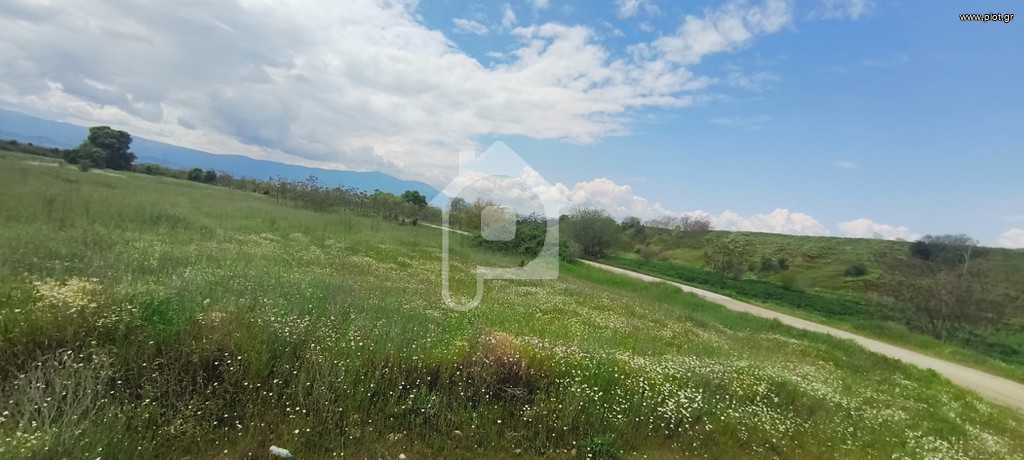 Αγροτεμάχια 10.405 τ.μ. προς πώληση, Σχολάρι