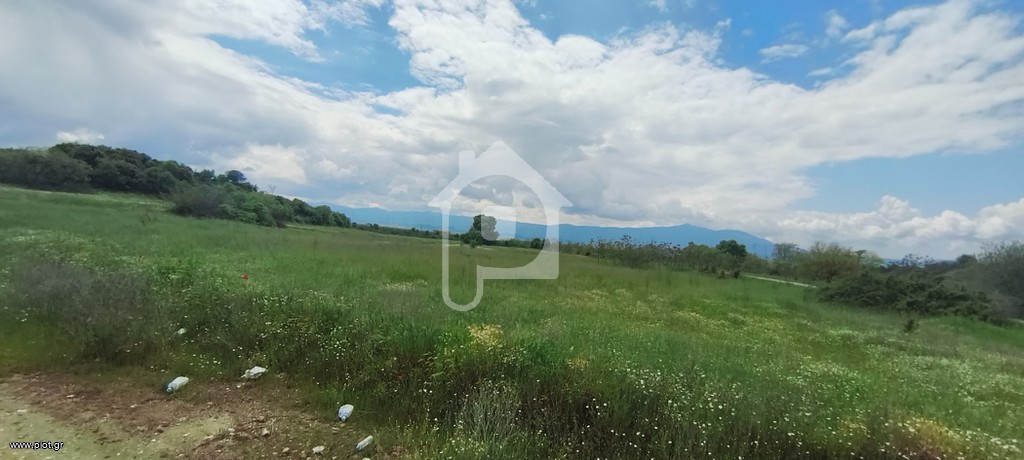 Αγροτεμάχια 10.405 τ.μ. προς πώληση, Σχολάρι