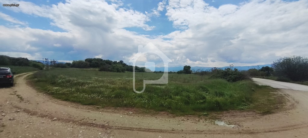 Αγροτεμάχια 10.405 τ.μ. προς πώληση, Σχολάρι