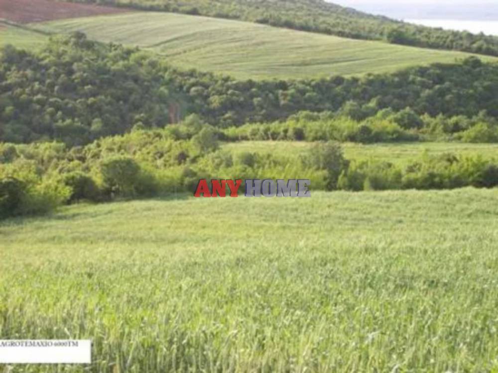 Αγροτεμάχια 6.000 τ.μ. προς πώληση, Κέντρο Κορώνειας