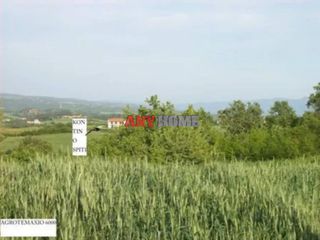 Αγροτεμάχια 6.000 τ.μ. για πώληση