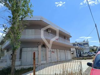 Business bulding 380 sqm for rent