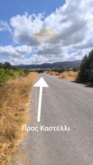 Οικόπεδο 3.800 τ.μ. για πώληση