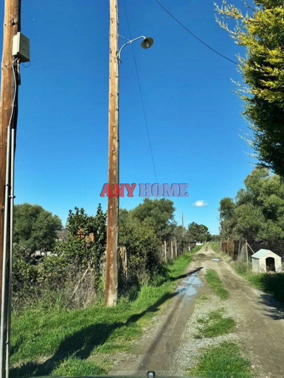 Αγροτεμάχια 560 τ.μ. προς πώληση, Νέα Σίλατα