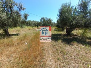 Αγροτεμάχια 6.291 τ.μ. για πώληση, Ν. Λέσβου, Λέσβος - Ευεργέτουλα-thumb-3