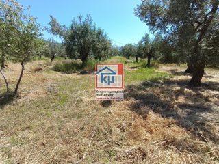 Αγροτεμάχια 6.291 τ.μ. για πώληση, Ν. Λέσβου, Λέσβος - Ευεργέτουλα-thumb-6