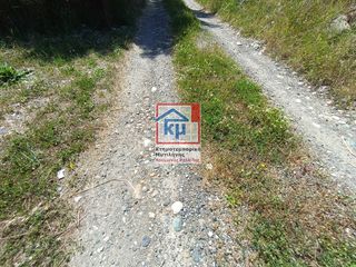 Αγροτεμάχια 6.291 τ.μ. για πώληση, Ν. Λέσβου, Λέσβος - Ευεργέτουλα-thumb-7