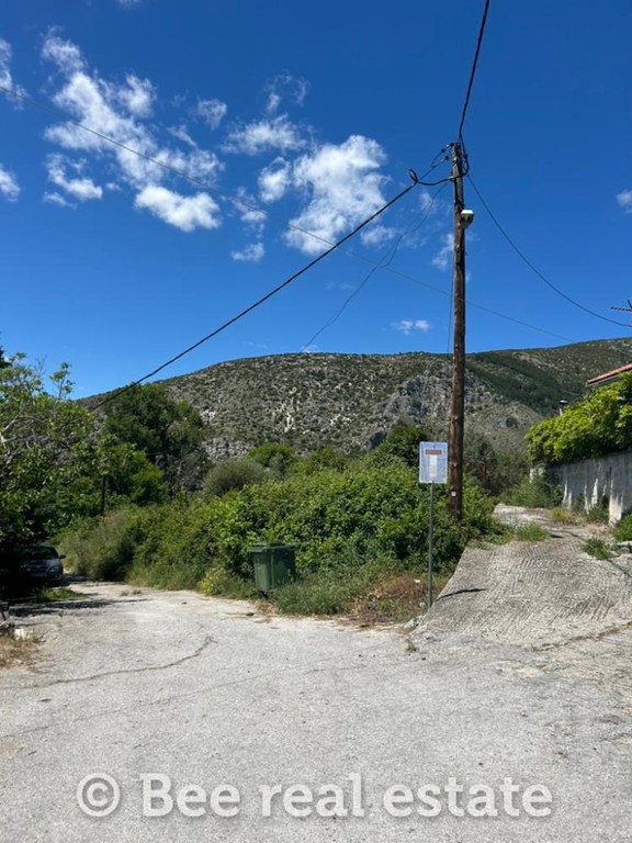 Οικόπεδο 6.500 τ.μ. πρός πώληση, Μαγνησία, Πορταριά