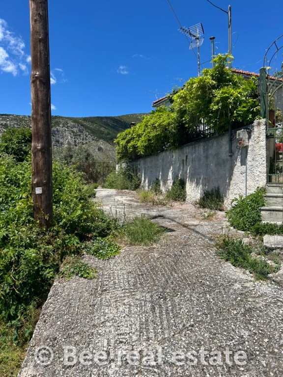 Οικόπεδο 6.500 τ.μ. πρός πώληση, Μαγνησία, Πορταριά