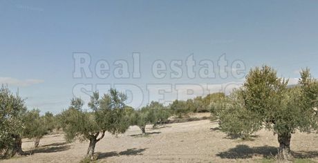 Αγροτεμάχια 5.900 τ.μ. προς πώληση