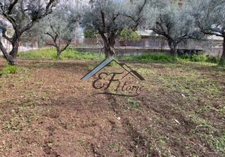 Οικόπεδο 1.071 τ.μ. για πώληση, Αχαΐα, Μεσσατίδα-thumb-2