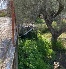 Οικόπεδο 1.071 τ.μ. για πώληση, Αχαΐα, Μεσσατίδα-thumb-9