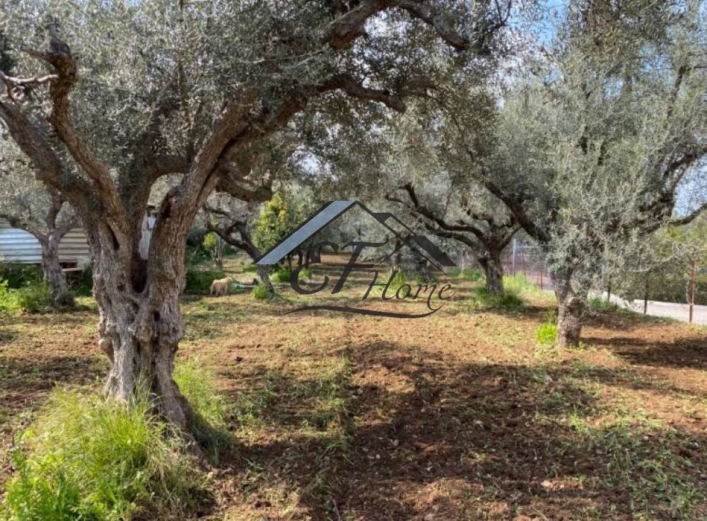 Οικόπεδο 1.071 τ.μ. για πώληση, Αχαΐα, Μεσσατίδα