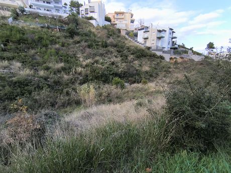 Οικόπεδο 1.635 τ.μ. προς πώληση