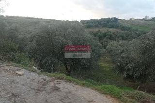 Αγροτεμάχια 4.470 τ.μ. για πώληση