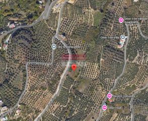 Αγροτεμάχια 1.872 τ.μ. για πώληση