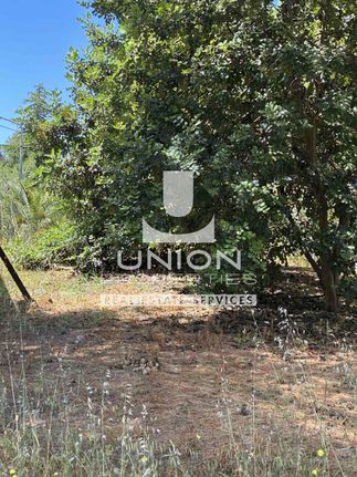 Land plot 1.600 sqm for sale, Athens - North, Melissia