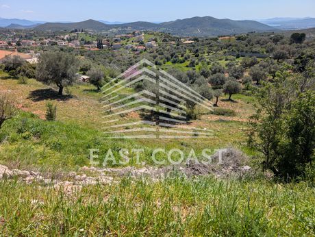 Οικόπεδο 4.100 τ.μ. πρός πώληση