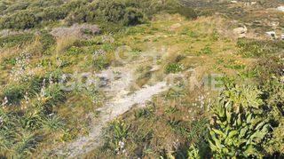 Οικόπεδο 155 τ.μ. για πώληση