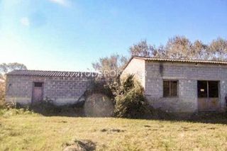 Αγροτεμάχια 10.476 τ.μ. για πώληση