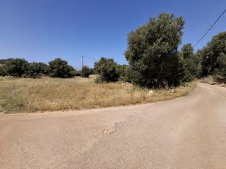 Οικόπεδο 1.515 τ.μ. για πώληση