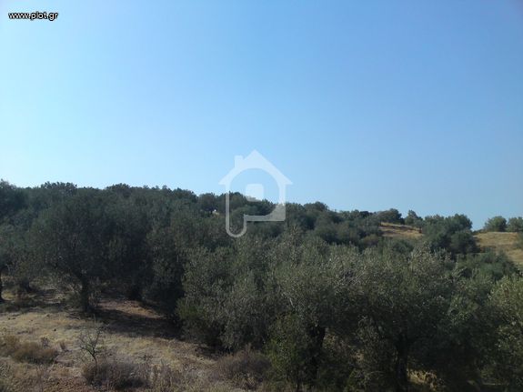 Land plot 6.809 sqm for sale, Argosaronikos Islands, Trizina