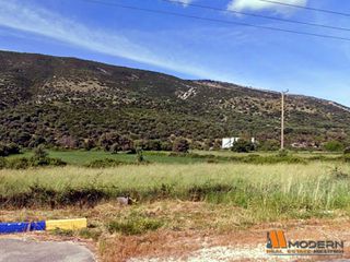 Αγροτεμάχια 10.250 τ.μ. για πώληση