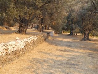 Οικόπεδο 4.100 τ.μ. προς πώληση, Κανακάρι-thumb-1