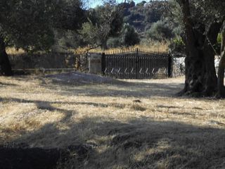 Οικόπεδο 4.100 τ.μ. προς πώληση, Κανακάρι-thumb-4