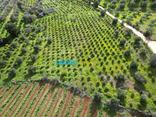 Αγροτεμάχια 9.941,90 τ.μ. για πώληση, Αργολίδα, Ναύπλιο-thumb-1