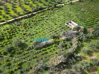 Αγροτεμάχια 9.941,90 τ.μ. για πώληση, Αργολίδα, Ναύπλιο-thumb-10