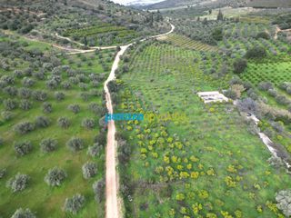 Αγροτεμάχια 9.941,90 τ.μ. για πώληση, Αργολίδα, Ναύπλιο-thumb-17