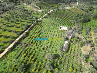 Αγροτεμάχια 9.941,90 τ.μ. για πώληση, Αργολίδα, Ναύπλιο-thumb-12