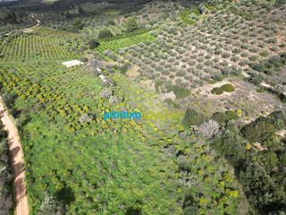 Αγροτεμάχια 9.941,90 τ.μ. για πώληση, Αργολίδα, Ναύπλιο-thumb-14