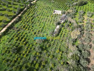 Αγροτεμάχια 9.941,90 τ.μ. για πώληση, Αργολίδα, Ναύπλιο-thumb-11