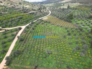 Αγροτεμάχια 9.941,90 τ.μ. για πώληση, Αργολίδα, Ναύπλιο-thumb-18