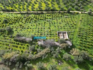 Αγροτεμάχια 9.941,90 τ.μ. για πώληση, Αργολίδα, Ναύπλιο-thumb-8