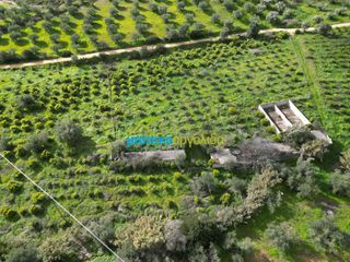 Αγροτεμάχια 9.941,90 τ.μ. για πώληση, Αργολίδα, Ναύπλιο-thumb-9