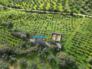 Αγροτεμάχια 9.941,90 τ.μ. για πώληση, Αργολίδα, Ναύπλιο-thumb-7