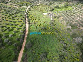Αγροτεμάχια 9.941,90 τ.μ. για πώληση, Αργολίδα, Ναύπλιο-thumb-13