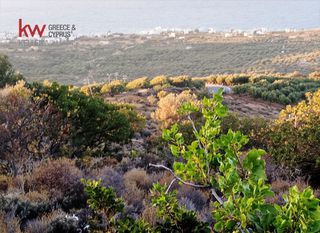Οικόπεδο 9.200 τ.μ. για πώληση, Ν. Λασιθίου, Νεάπολη-thumb-3