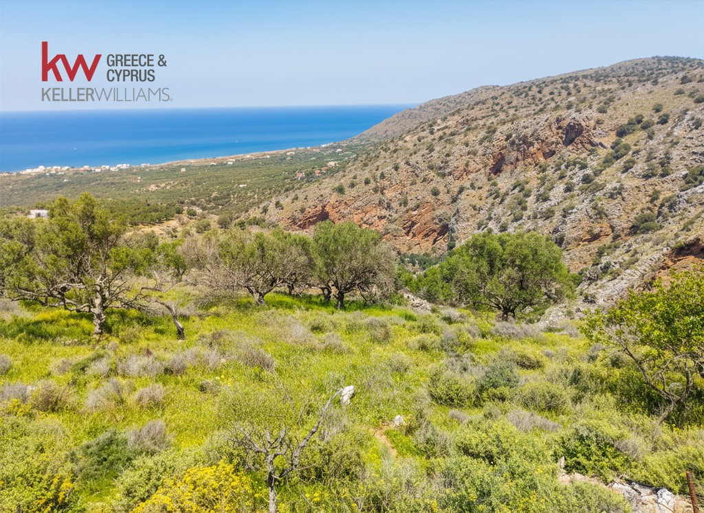 Οικόπεδο 9.200 τ.μ. προς πώληση, Νεάπολη Λασιθίου