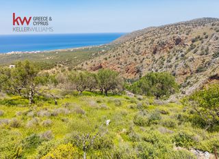 Οικόπεδο 9.200 τ.μ. για πώληση, Ν. Λασιθίου, Νεάπολη-thumb-2