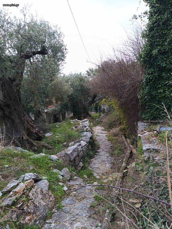 Οικόπεδο 375 τ.μ. πρός πώληση, Μαγνησία, Μηλιές