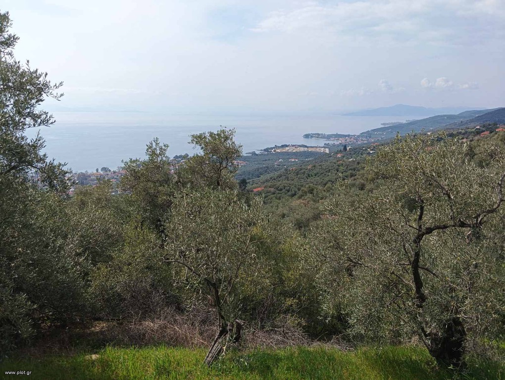 Οικόπεδο 375 τ.μ. πρός πώληση, Μαγνησία, Μηλιές
