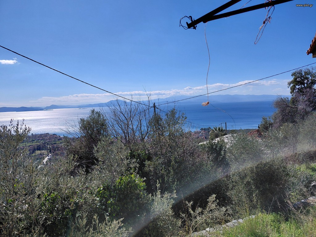 Οικόπεδο 375 τ.μ. πρός πώληση, Μαγνησία, Μηλιές