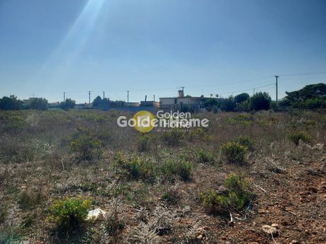 Parcel 10.000 sqm for rent