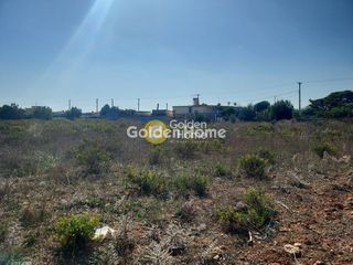 Αγροτεμάχια 10.000 τ.μ. για ενοικίαση